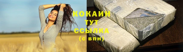 шишки Нея