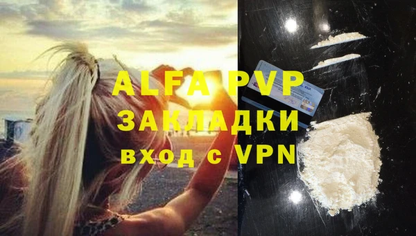 молекула духа Нефтекумск