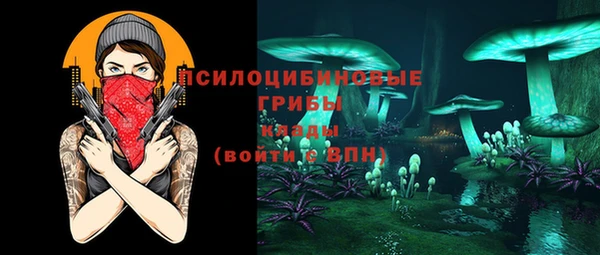 дживик Нефтегорск