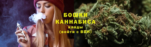 шишки Нея