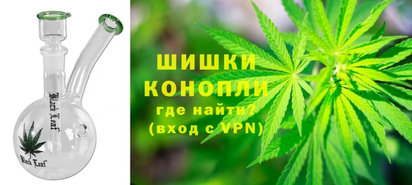 шишки Нея