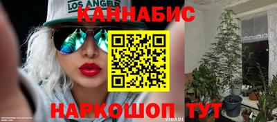 прущие крисы Камышлов