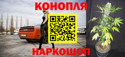 прущие крисы Камышлов