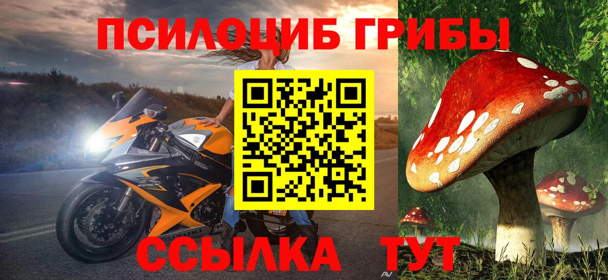 Псилоцибиновые грибы прущие грибы Нягань